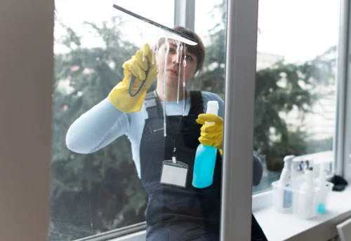 Nettoyage de vitres intérieures et extérieures à Barbaggio